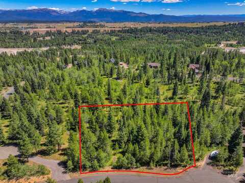 8 Haymaker Court, McCall, ID 83638