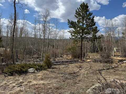 137 Cimarron Rd, Red Feather Lakes, CO 80545