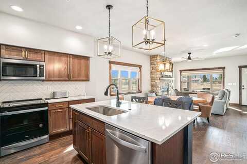 1709 Continental Peaks Cir, Estes Park, CO 80517