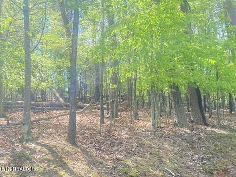 2010 Tahlequah Lane, Mooresburg, TN 37811