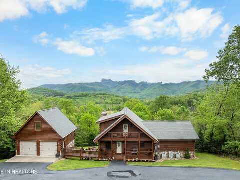 2732 Cayanne Rd, Cosby, TN 37722