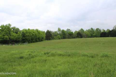 Gooseneck Lane, Jamestown, TN 38556