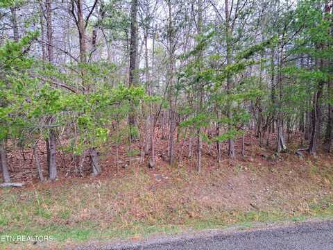 109 Laurelton Lane, Crossville, TN 38558