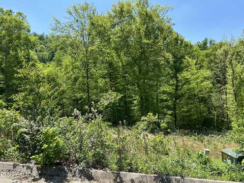 Lot 32 Timber Creek Rd, Maynardville, TN 37807