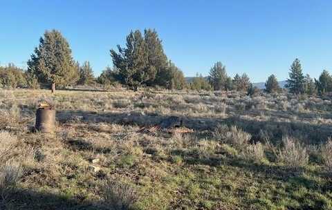 46038 Deer Springs Road, Beatty, OR 97621