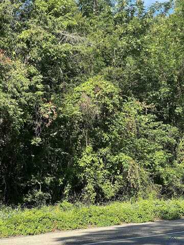 Tbd N HWY 271, Talco, TX 75487