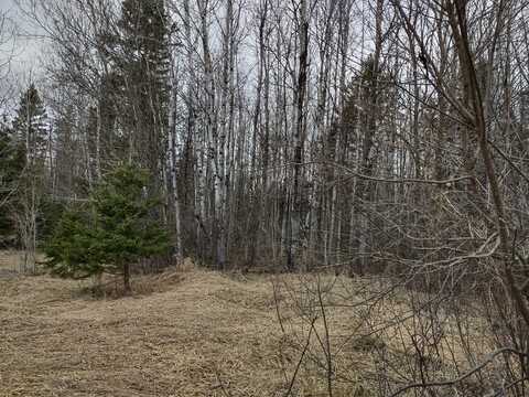 TBD Off Ohman Road, L'anse, MI 49946