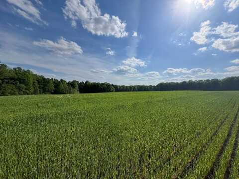 10.35 AC Snow Hill Road, Alton, VA 24520
