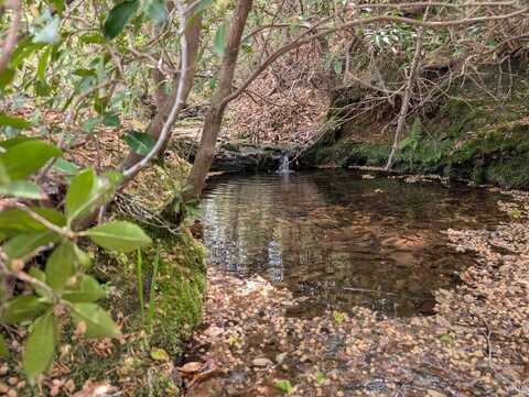 0 Lewis Ford Road, Brookneal, VA 24528