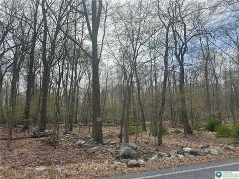 Autumn Drive, Upper Mt Bethel, PA 18343