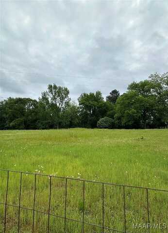 0 Cotton Lane, Deatsville, AL 36022