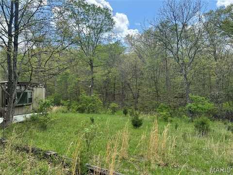 4518 Victoria Station Road, De Soto, MO 63020