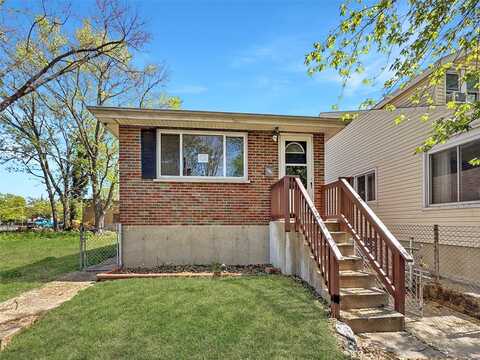 217 W Schirmer Street, Saint Louis, MO 63111