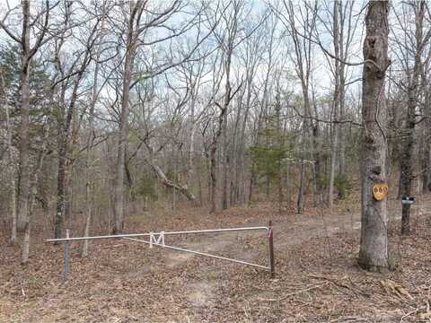 660 Forest Woods Trail Trail, Saint Clair, MO 63077