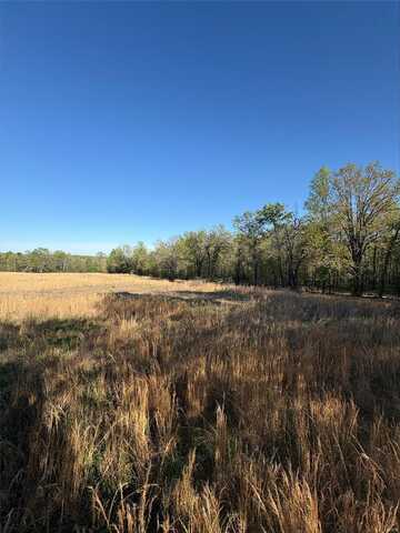 0 County Road 314, Alton, MO 65606