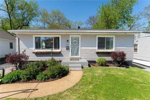 209 Madison Avenue, Saint Louis, MO 63119