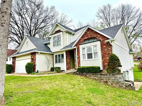1333 Melvin Drive, Festus, MO 63028