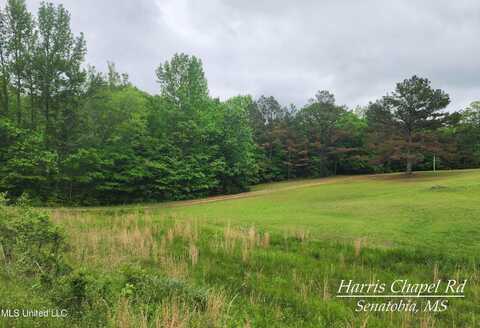Harris Chapel Road, Senatobia, MS 38668