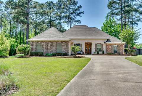 111 Claw Creek Cove, Madison, MS 39110