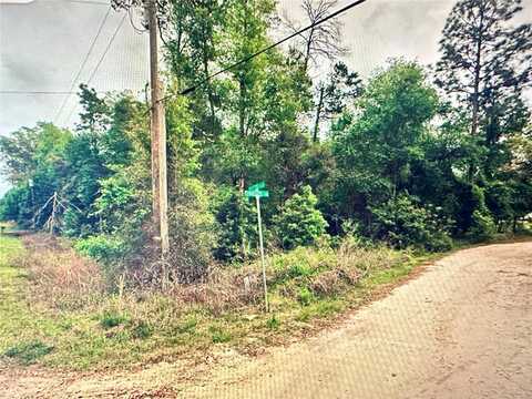 219 KINGSTON BOULEVARD, SATSUMA, FL 32189