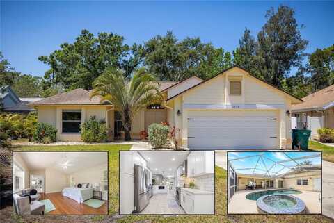 1916 SANDSTONE PLACE, CLEARWATER, FL 33760