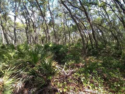 34457 PRIMROSE LANE, WEBSTER, FL 33597
