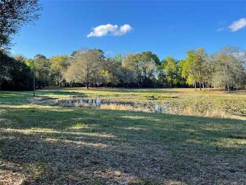 195 LAKE MOLLY AVENUE, DELAND, FL 32724