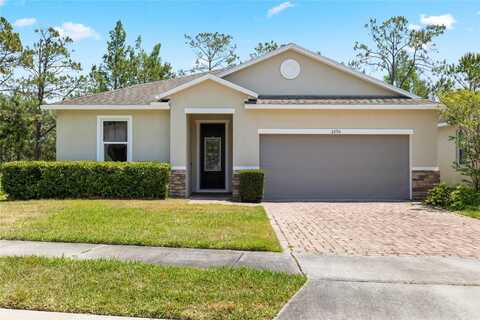 3290 MACINTOSH ROAD, LAND O LAKES, FL 34639
