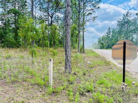 0000 NE 131 TERRACE TERRACE, WILLISTON, FL 32696