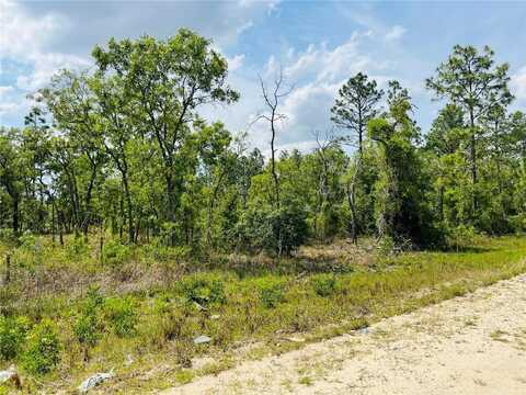 0000 NE 132 TERRACE TERRACE, WILLISTON, FL 32696