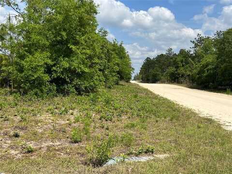 0000 NE 131 TERRACE TERRACE, WILLISTON, FL 32696