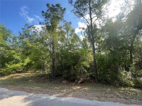 Tbd SEQUOIA DRIVE, OCKLAWAHA, FL 32179