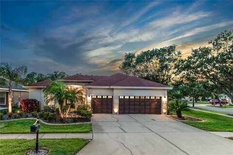 10626 TAVISTOCK DRIVE, TAMPA, FL 33626