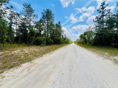 0000 NE 131 TERRACE, WILLISTON, FL 32696