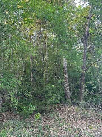 WATER ROAD, CLERMONT, FL 34714