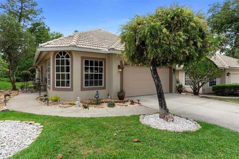 9049 SAINT ANDREWS WAY, MOUNT DORA, FL 32757
