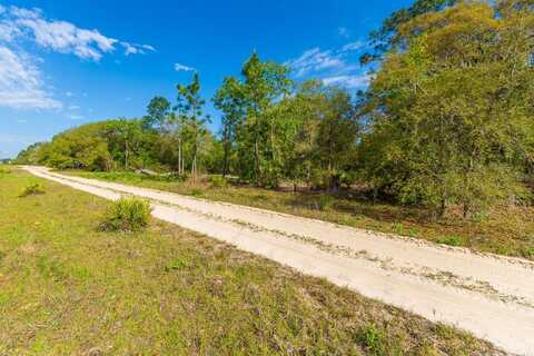 NE 65 STREET, WILLISTON, FL 32696