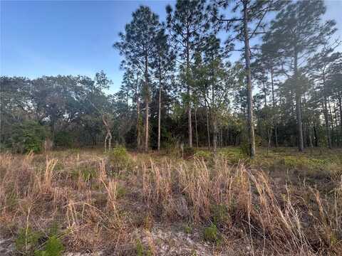Lot 3 NW AMBERJACK AVENUE, DUNNELLON, FL 34431