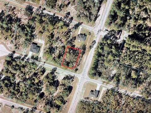 63 MALAUKA LANE, OCKLAWAHA, FL 32179