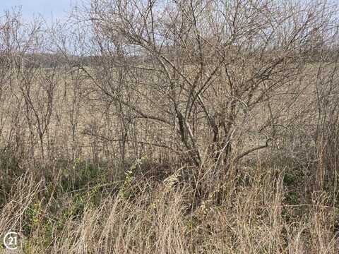 0 Weber (Lot B), Richmond, MI 48063
