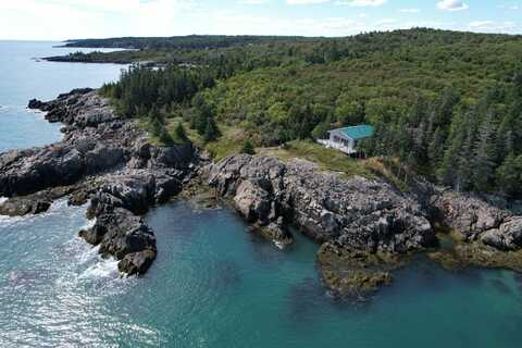 Shag Rock Road lot: 87.72, Trescott Twp, ME 04652