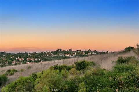 1 Taywood Court, Laguna Niguel, CA 92677