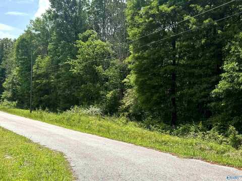 3.78 Acres Alfest Blvd, Glencoe, AL 35903