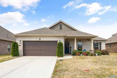 12927 Coppertop Lane, Madison, AL 35756