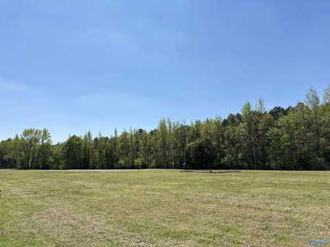 94 Adams Road, Eva, AL 35621