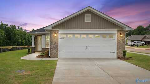 19772 Redhawk Drive, Athens, AL 35611