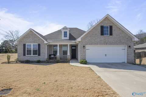 3001 Crystal Creek Drive, Brownsboro, AL 35741