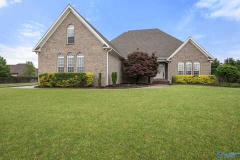 25909 Rosedown Drive, Athens, AL 35613