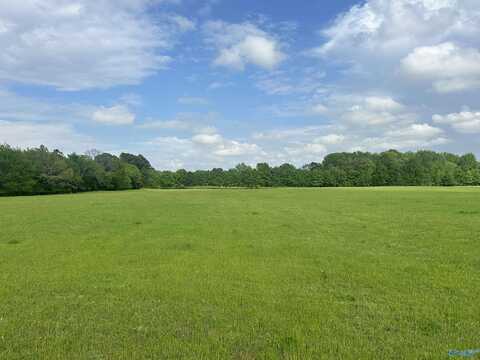 Lot 4 Tillman Mill Road, Athens, AL 35614
