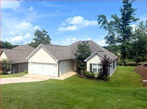 207 Forest Glen Drive, Oxford, MS 38655
